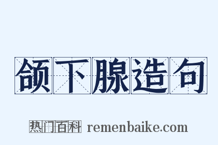 颌下腺造句是什么意思的图片